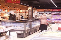 Alaska A S 100 (R290)